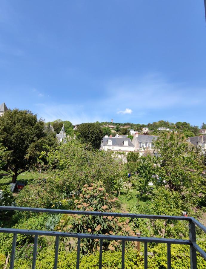Gite La P'Tite Terrasse Chinon Centre Eksteriør billede